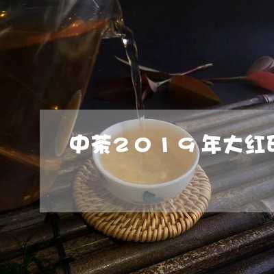 中茶2019年大红印/2023060901602