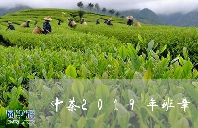 中茶2019年班章/2023042575249