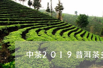 中茶2019普洱茶多少钱/2023081573927