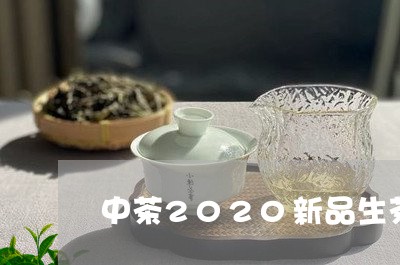 中茶2020新品生茶/2023061124850