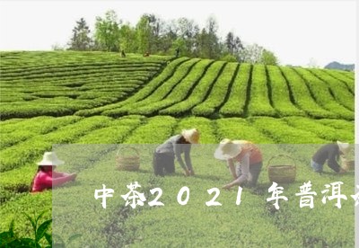 中茶2021年普洱茶/2023062831715