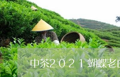 中茶2021蝴蝶老白茶/2023080153726