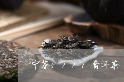 中茶5771普洱茶/2023070974816