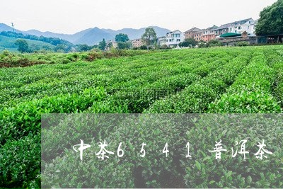 中茶6541普洱茶/2023070973725