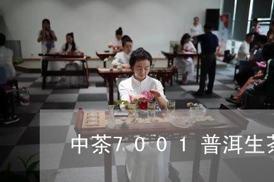 中茶7001普洱生茶/2023061397270