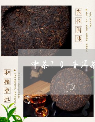 中茶70普洱茶口味/2023091436058