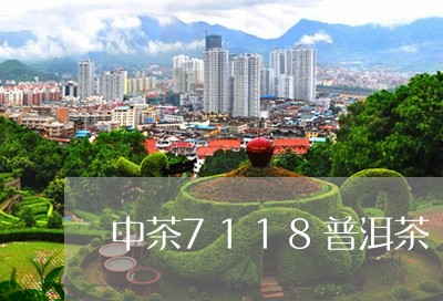 中茶7118普洱茶/2023120573925