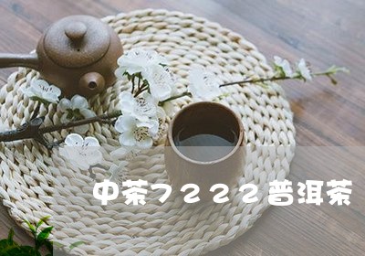 中茶7222普洱茶/2023101763927