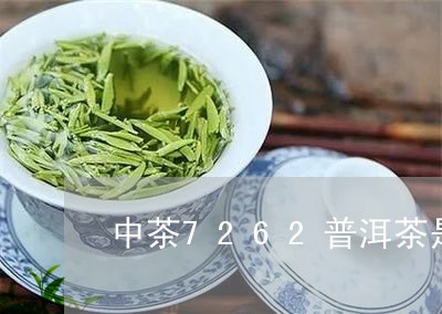 中茶7262普洱茶是哪年生产的/2023060369693