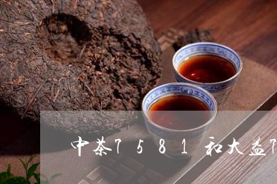 中茶7581和大益7592哪个好/2023060406383