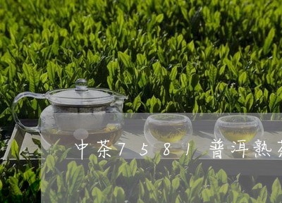 中茶7581普洱熟茶砖250克/2023060397261