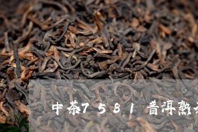 中茶7581普洱熟茶砖多少钱/2023053152705