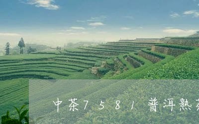 中茶7581普洱熟茶砖奥运款/2023053160593