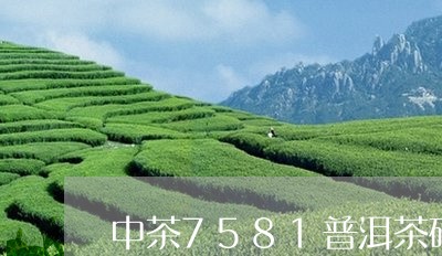 中茶7581普洱茶砖老熟茶砖/2023053070704