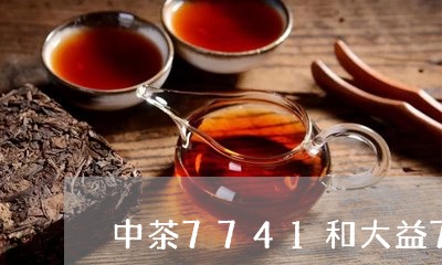 中茶7741和大益7542/2023052761717