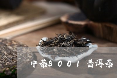 中茶8001普洱茶/2023120583060