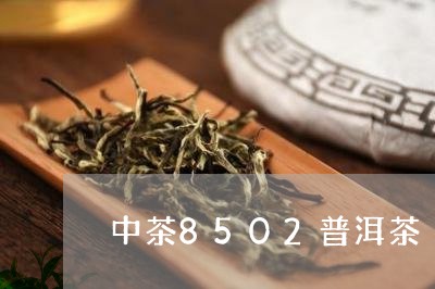 中茶8502普洱茶/2023091570917