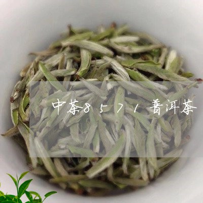 中茶8571普洱茶/2023091556180