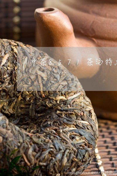 中茶8571茶汤特点/2023060992837