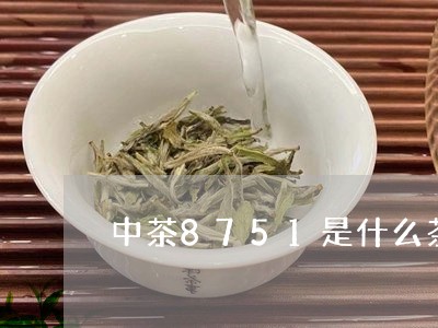 中茶8751是什么茶/2023071570494