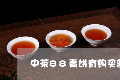中茶88青饼有购买藏价值吗/2023051147370