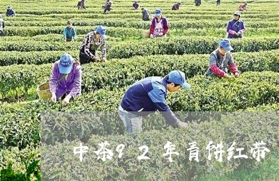 中茶92年青饼红带/2023042310694