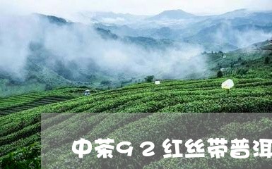 中茶92红丝带普洱茶/2023080313694