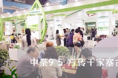 中茶95方砖千家寨古树茶特点/2023053154926