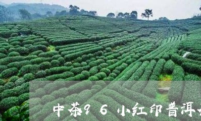 中茶96小红印普洱茶/2023100714249