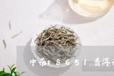 中茶t8651普洱茶/2023080268281