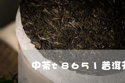 中茶t8651普洱茶/2023100738271