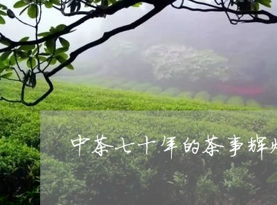 中茶七十年的茶事辉煌/2023071557140