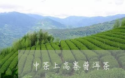 中茶上高寨普洱茶/2023120476936