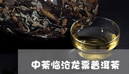 中茶临沧龙票普洱茶/2023082815038