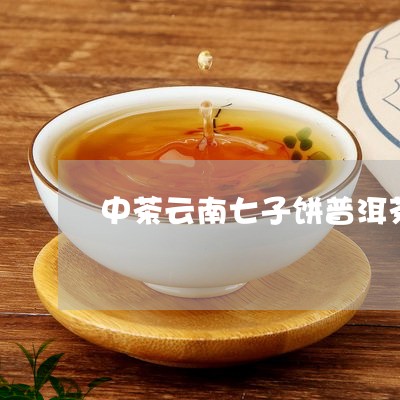 中茶云南七子饼普洱茶/2023062233827