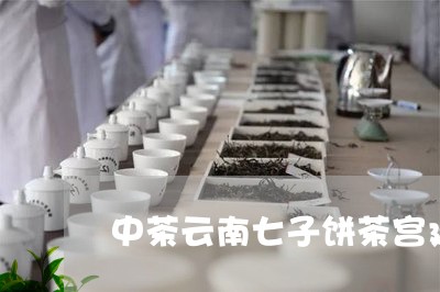 中茶云南七子饼茶宫廷普洱茶/2023110492625