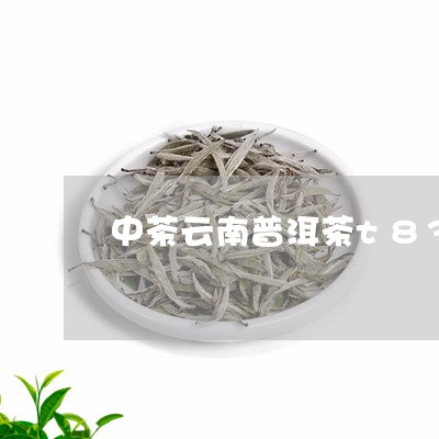 中茶云南普洱茶t8341/2023110186371