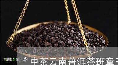 中茶云南普洱茶班章王/2023062278694