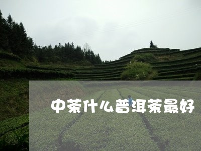 中茶什么普洱茶最好/2023070959272