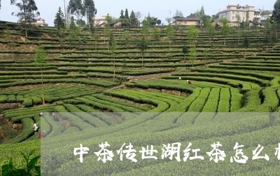 中茶传世湖红茶怎么样/2023071559514