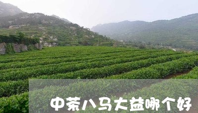 中茶八马大益哪个好/2023042574040