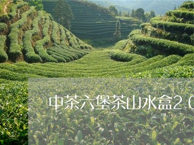 中茶六堡茶山水盒2014年/2023052799479