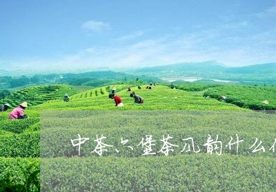 中茶六堡茶风韵什么价/2023061016170