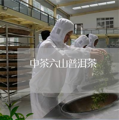 中茶六山普洱茶/2023081569515