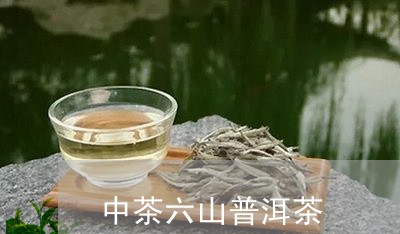 中茶六山普洱茶/2023101614137