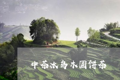 中茶冰岛木圆饼茶/2023042684929