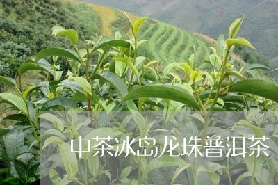 中茶冰岛龙珠普洱茶/2023071149486