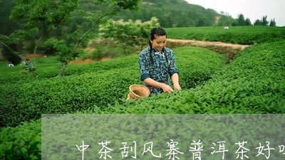 中茶刮风寨普洱茶好吗/2023100762616