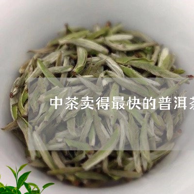 中茶卖得最快的普洱茶/2023100865037