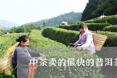 中茶卖的最快的普洱茶/2023062349393